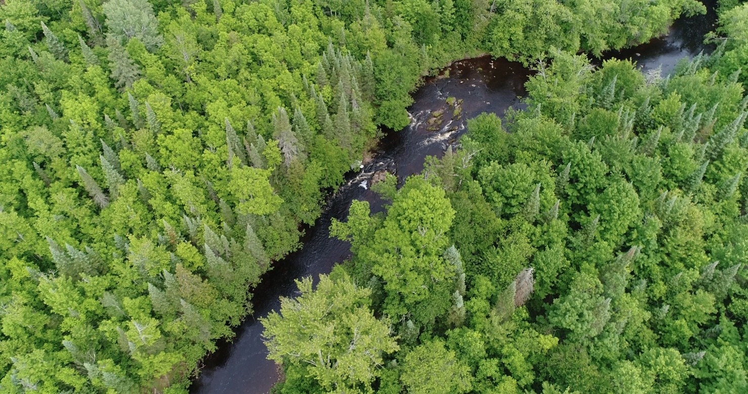 Tyler Forks Community Forest, a forested landscape in northern Wisconsin